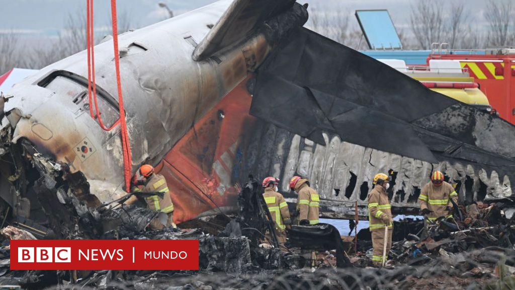 Qué se sabe del accidente del avión en Corea del Sur en el que murieron 179 personas – BBC News Mundo