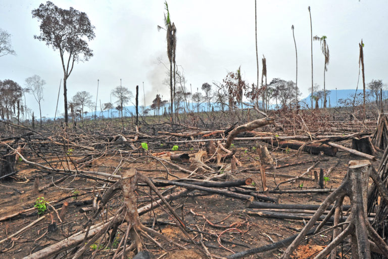 Balance ambiental de Colombia en 2024: el repunte de la deforestación y los eventos climáticos extremos en el país más letal para los defensores