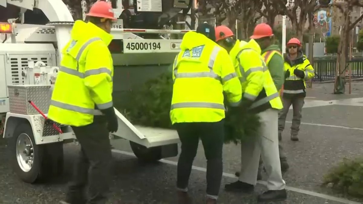 Cómo deshacerte de tu árbol de navidad natural en San Francisco