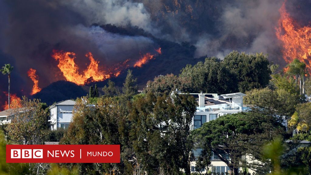 Pacific Palisades, el exclusivo barrio en el que viven numerosas estrellas de Hollywood arrasado por los incendios en Los Ángeles – BBC News Mundo