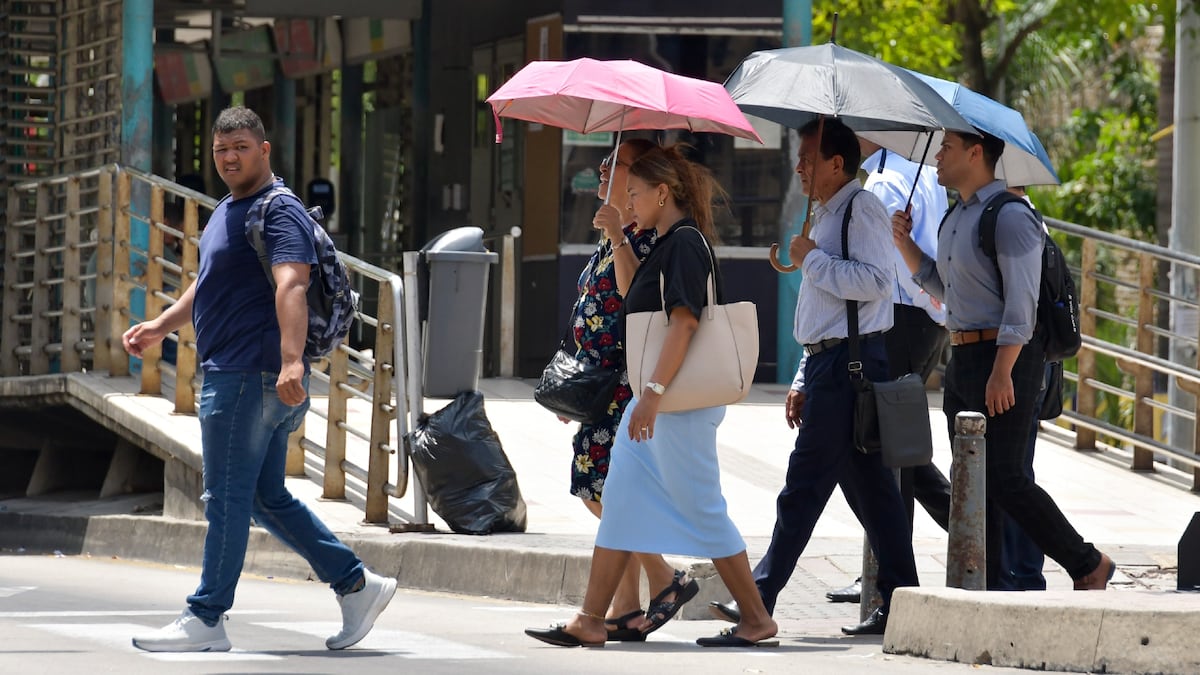 El calor extremo y la devastación ambiental, crisis climáticas en 2024