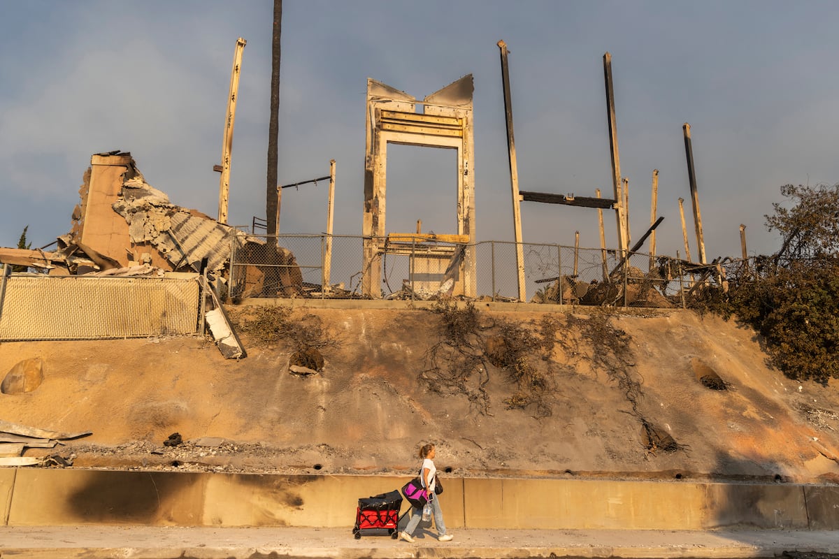 Una ciudad flotante para los 150.000 evacuados por los incendios de Los Ángeles