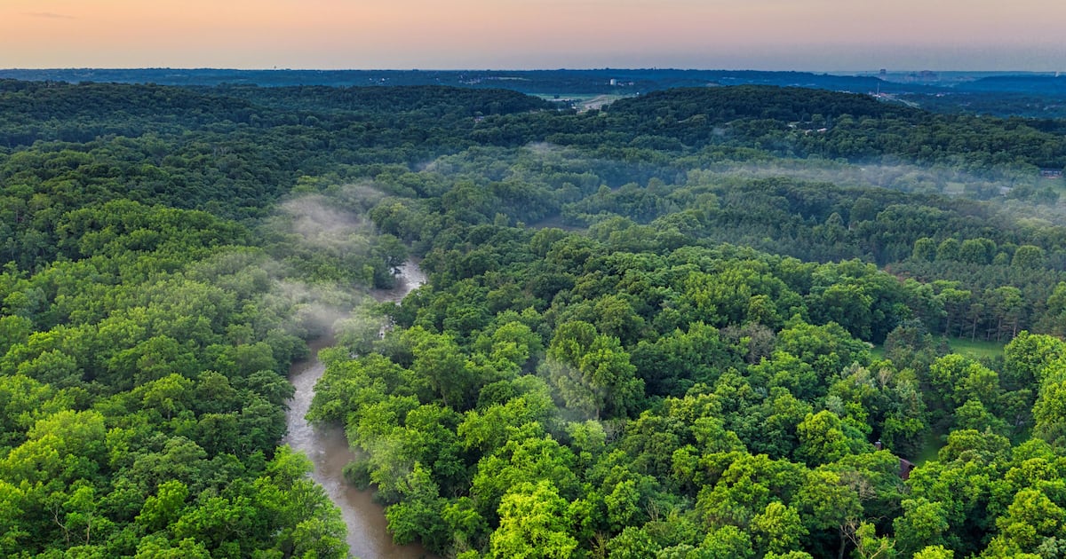 ¿Qué esperar del medioambiente este 2025?