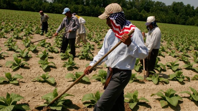 Ni México ni Ecuador, estos son los países a los que EE.UU. amplía su permiso temporal de residencia y trabajo para migrantes