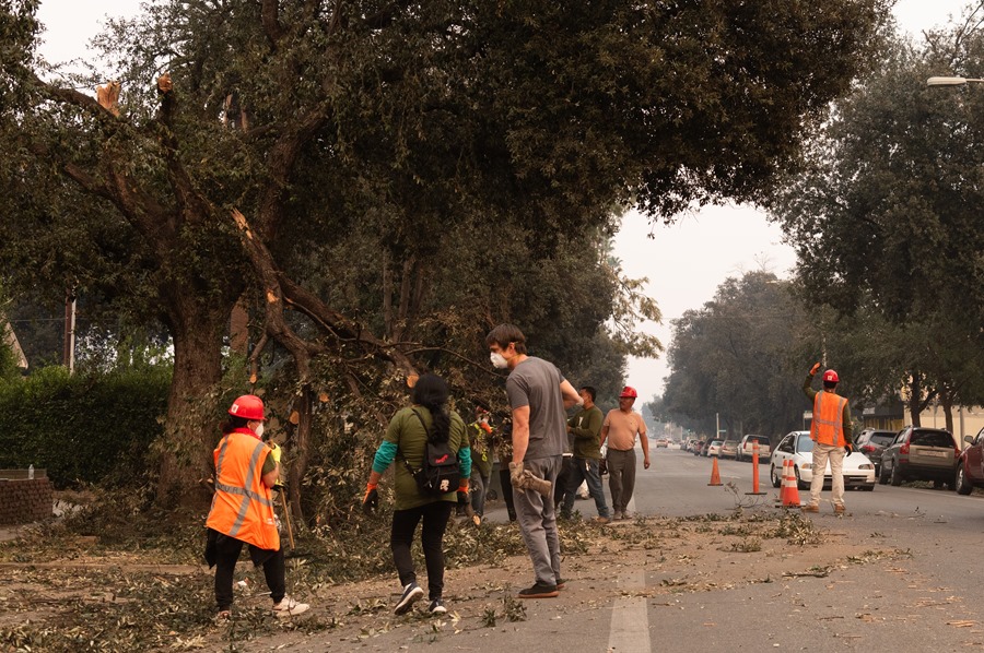 Jornaleros indocumentados se unen para remover árboles y escombros en Los Ángeles – EFE