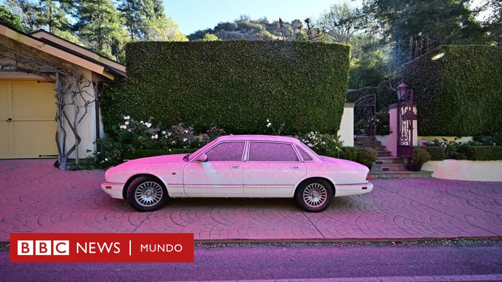 Qué es el polvo rosa con el que se combaten los incendios en Los Ángeles – BBC News Mundo