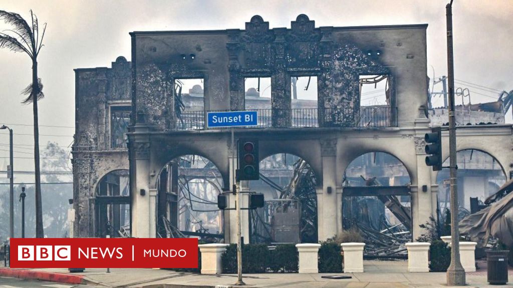 Pacific Palisades, el exclusivo barrio en el que viven numerosas estrellas de Hollywood arrasado por los incendios en Los Ángeles – BBC News Mundo