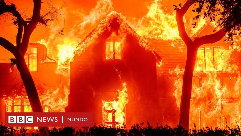 Las imágenes de la devastación que dejan los incendios en Los Ángeles – BBC News Mundo