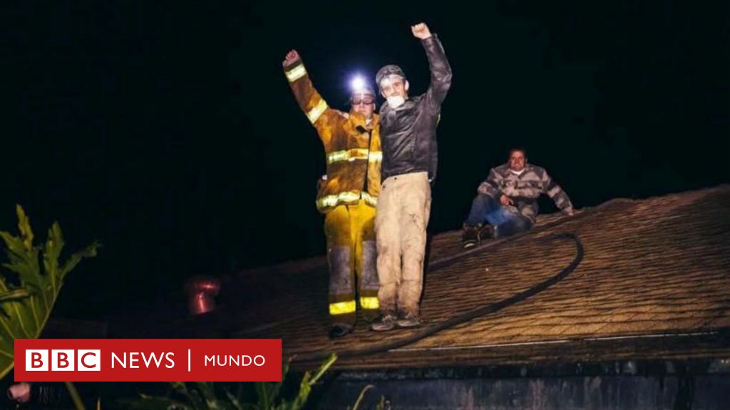 Cómo un neurocirujano salvó su calle de los incendios que han arrasado barrios enteros en Los Ángeles – BBC News Mundo