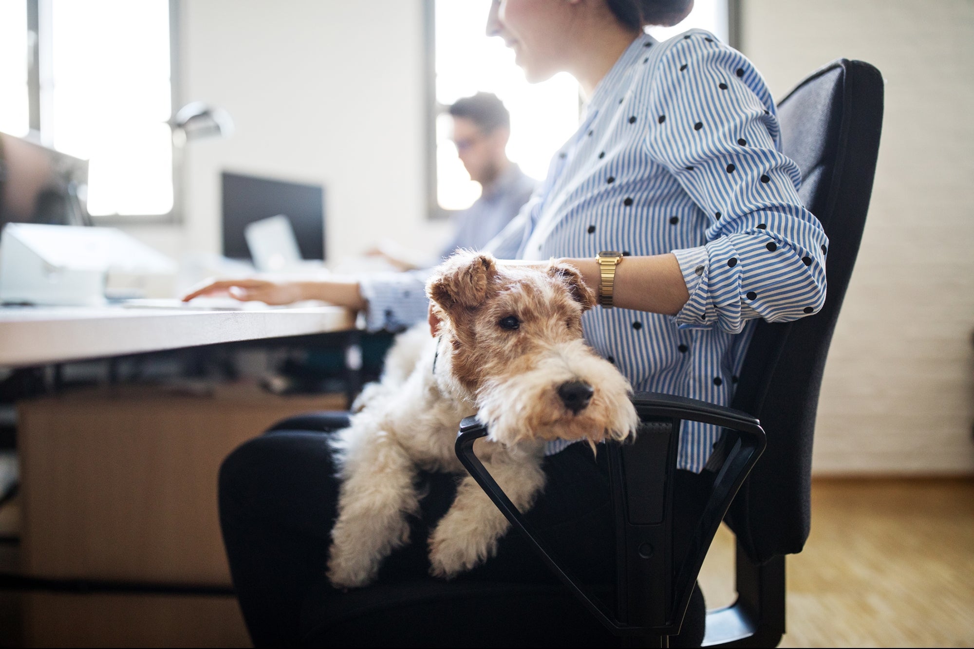 Lo que dice la ciencia sobre cómo las mascotas pueden fomentar una mejor salud y bienestar en el lugar de trabajo | Entrepreneur