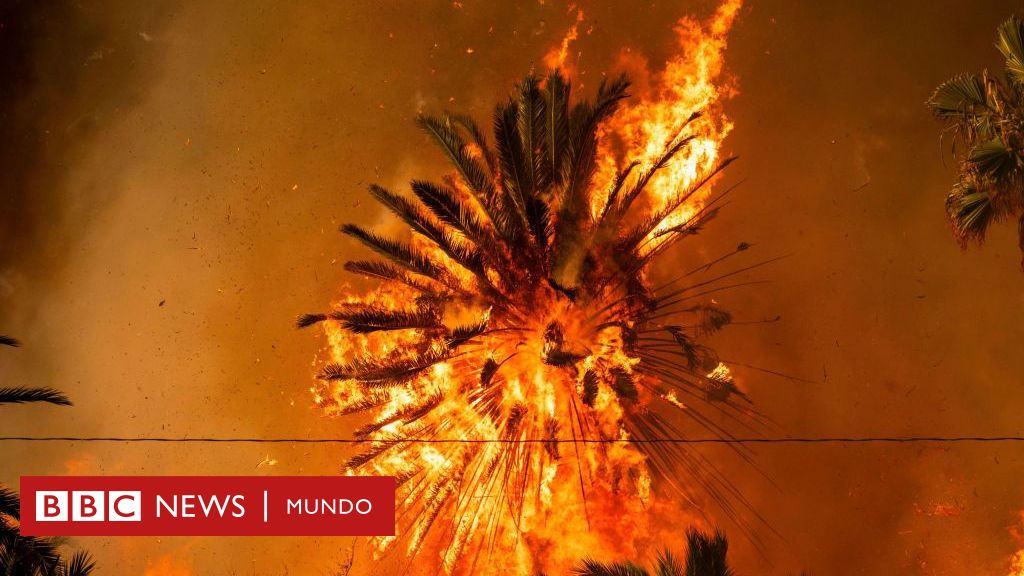 5-imagenes-que-explican-la-rapida-propagacion-de-los-incendios-en-los-angeles-–-bbc-news-mundo