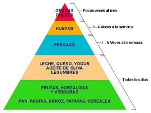 Información para comer bien y llevar una dieta equilibrada