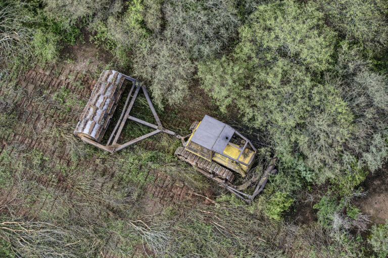 Bajo el gobierno de Milei, Argentina enfrenta sus mayores desafíos ambientales en 2025