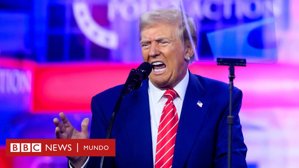 Cuáles son los contrapesos que tendrá el poder casi absoluto de Trump en la Casa Blanca – BBC News Mundo