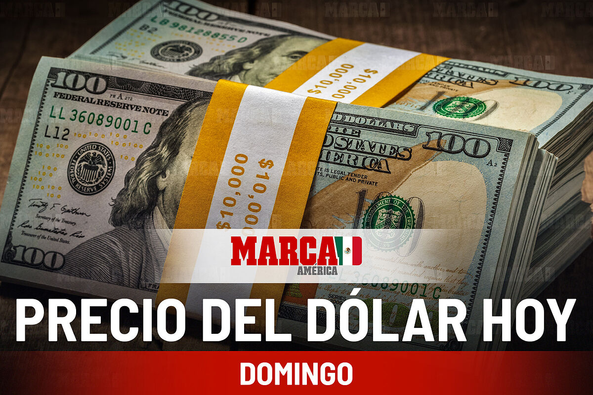 Precio del dlar hoy domingo 19 de enero 2025 en Mxico: cotizacin en compra y venta