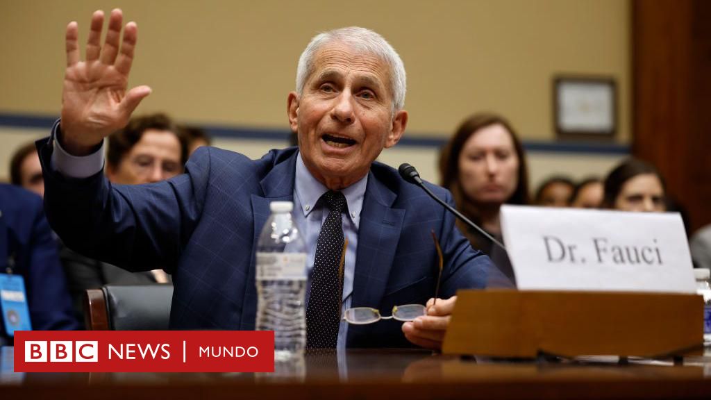 Biden indulta a Anthony Fauci, el asesor médico de la pandemia, y los congresistas que investigaron el asalto al Capitolio para evitar posibles represalias de Trump – BBC News Mundo