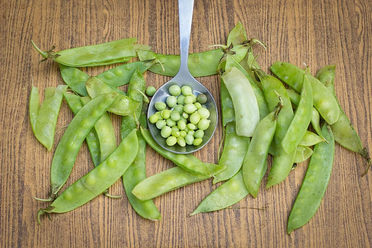 El motivo por el que los nutricionistas estn recomendando ms legumbres esta temporada