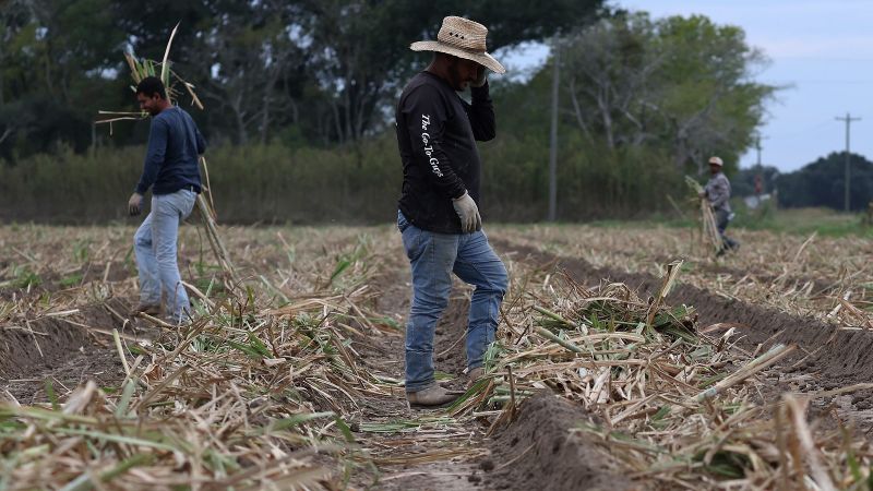 ¿Cuánto aportan los inmigrantes indocumentados a la economía de Estados Unidos? | CNN