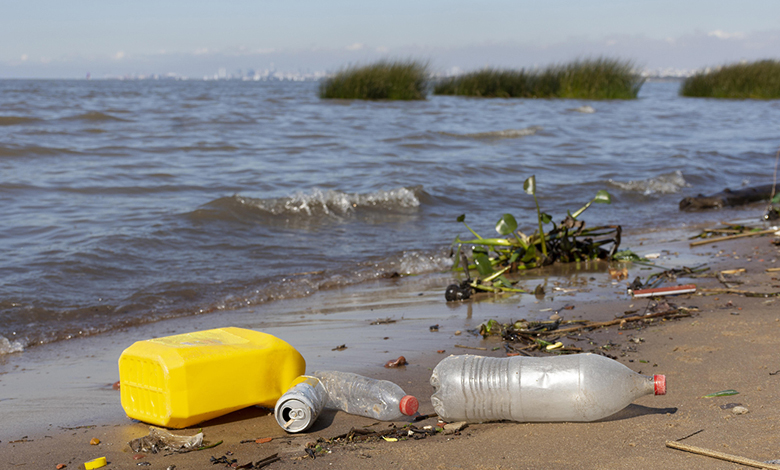 el-verano-y-la-contaminacion:-1,7-millones-de-toneladas-de-residuos-afectan-a-playas-y-oceanos-en-chile-–-periodico-el-insular