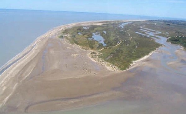 semana-de-la-educacion-ambiental:-actividades-para-aprender-y-comprometerse-con-el-cuidado-del-ambiente-–-prensa-la-costa