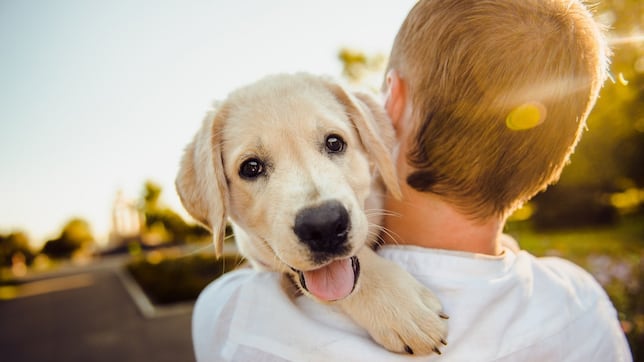 Tendencias Animales en 2025: Innovación, sostenibilidad y el futuro del bienestar animal