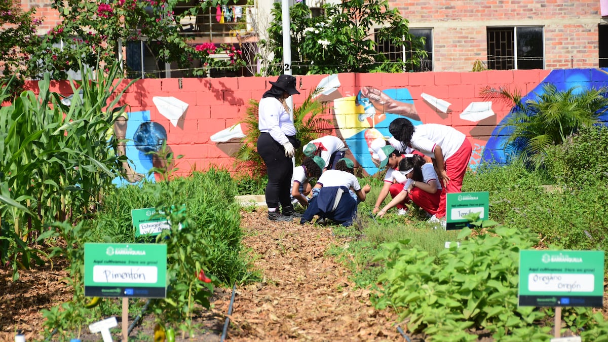 Pedagogía y campañas de limpieza, claves para recuperación ambiental en Barranquilla