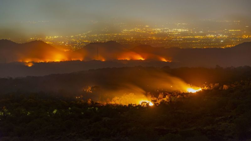 Cómo la mafia está convirtiendo los incendios forestales en armas | CNN