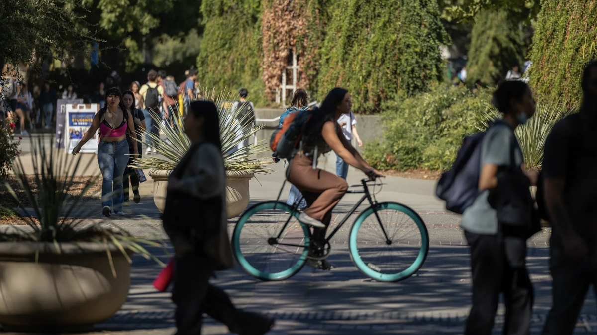 Cada vez menos estudiantes de último año de preparatoria en California solicitan ayuda financiera. Algunos culpan a las políticas de inmigración de Trump