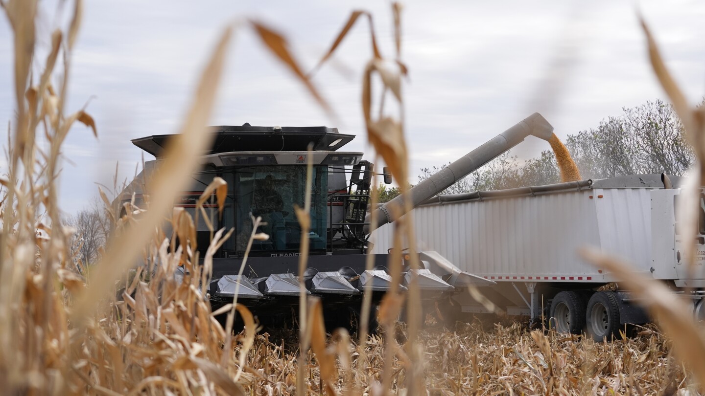 “tengan-paciencia-conmigo”,-dice-trump-mientras-agricultores-y-consumidores-aguardan-ante-aranceles