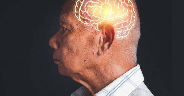 El estudio cientfico que revela cmo el ayuno intermitente y otras dietas pueden impactar en el envejecimiento de tu cerebro