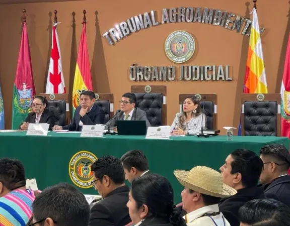 Determinan la creación de un plan nacional para la protección del jaguar y pausa ambiental